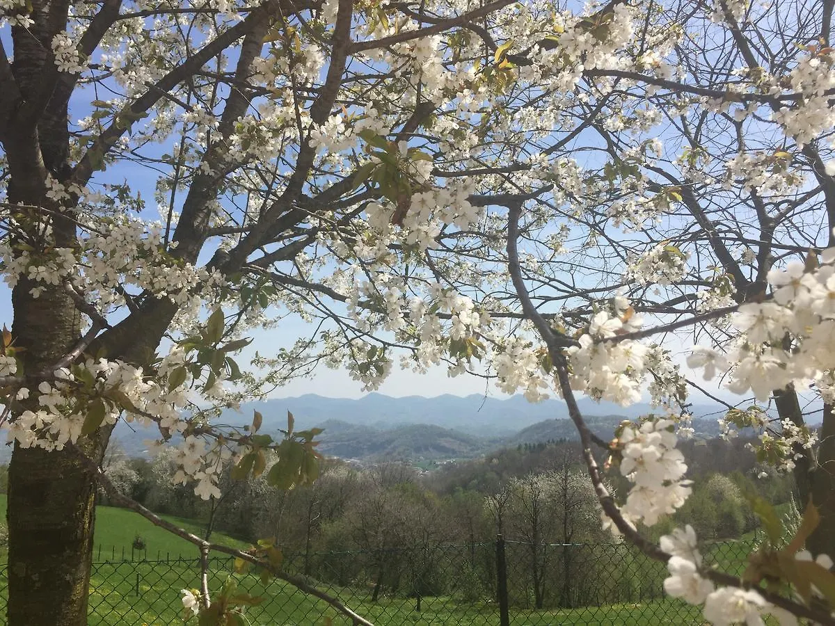 Appartamento Boccaor Paderno del Grappa